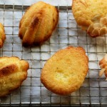 Madeleines