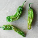 Pan-Fried Shishito Peppers