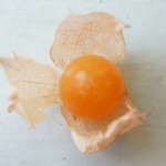 Three Husk Cherry Recipes