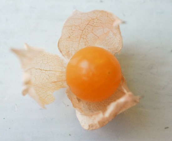 husk cherry header 3