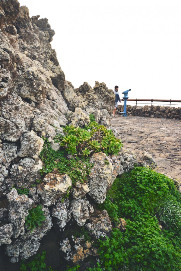 Christmas in Lanzarote The Roaming Kitchen