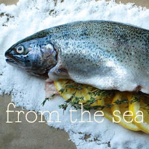 From the Sea